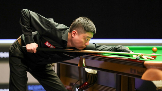 杨凡予的强 杨凡予的强