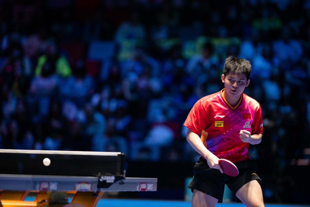 不仅展示了 不仅展示了